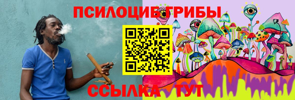 Киселёвск  Галлюциногенные грибы ЛСД  продажа наркотиков  Вход с VPN 